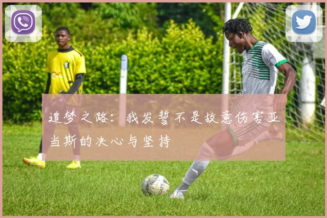 追梦之路：我发誓不是故意伤害亚当斯的决心与坚持