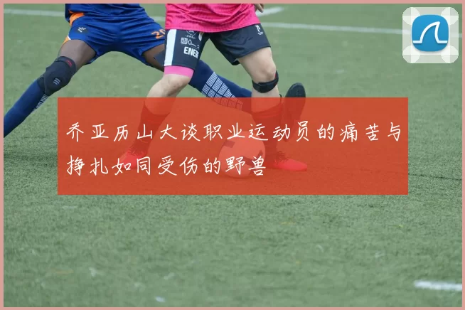 乔亚历山大谈职业运动员的痛苦与挣扎如同受伤的野兽